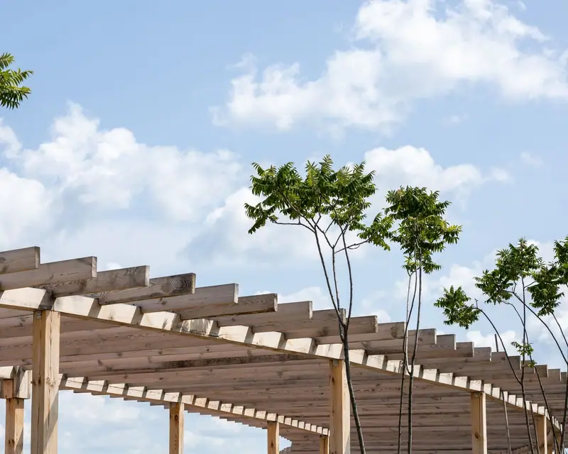 Pergole i zadaszenia tarasów: pergola nad tarasem, w słoneczny dzień